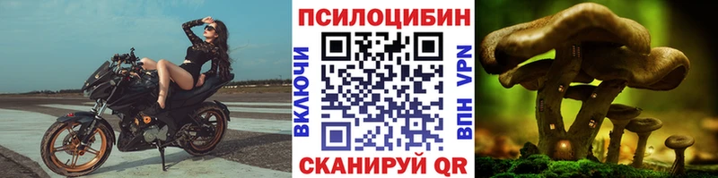 MEGA рабочий сайт  купить  сайты  Фролово  Псилоцибиновые грибы Psilocybe 